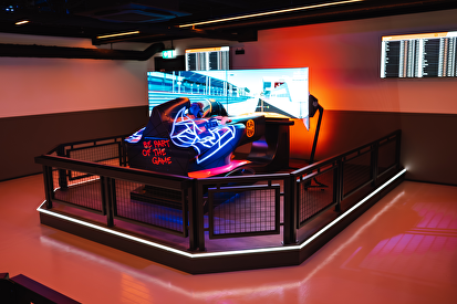 RACE EXPERIENCE (F1 SIM) <br><span> € 24,95 </span>